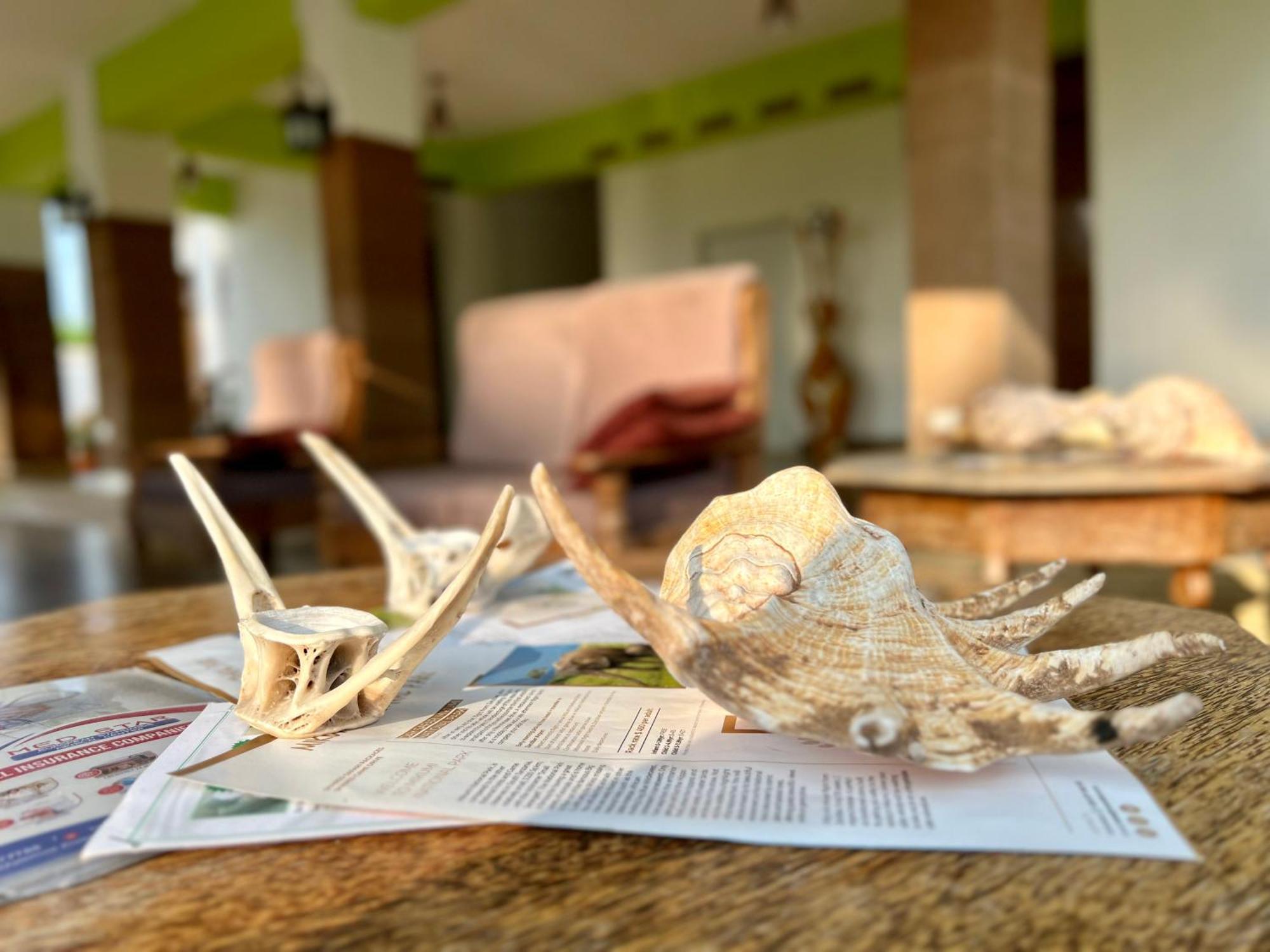 Zanoceanique Hotel Matemwe  Εξωτερικό φωτογραφία